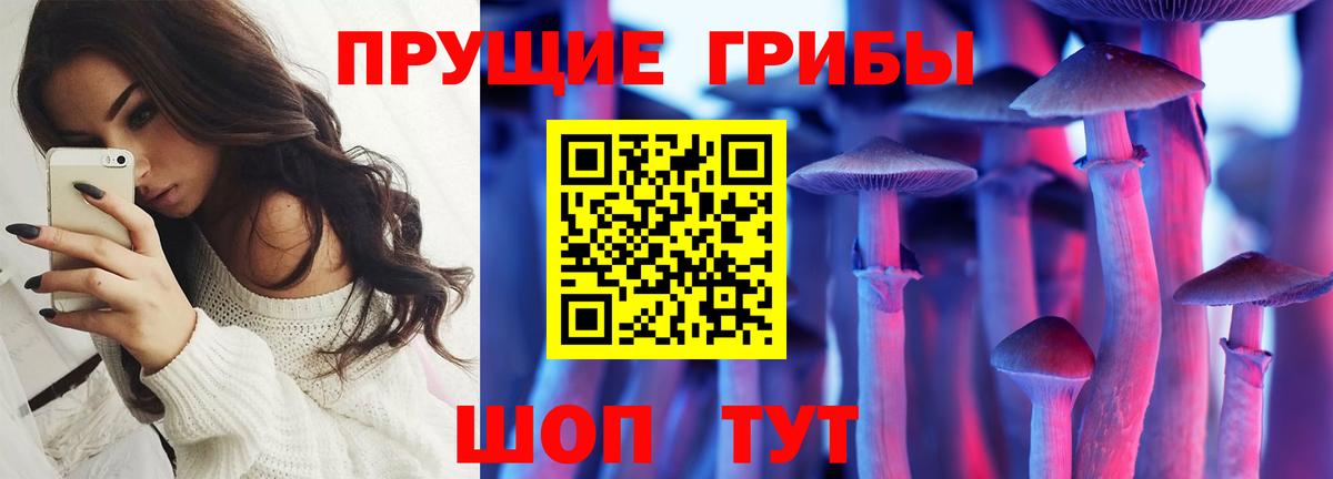 Горячий Ключ  цены наркотик  Псилоцибиновые грибы мухоморы  Вход с VPN  Галлюциногенные грибы GOLDEN TEACHER 